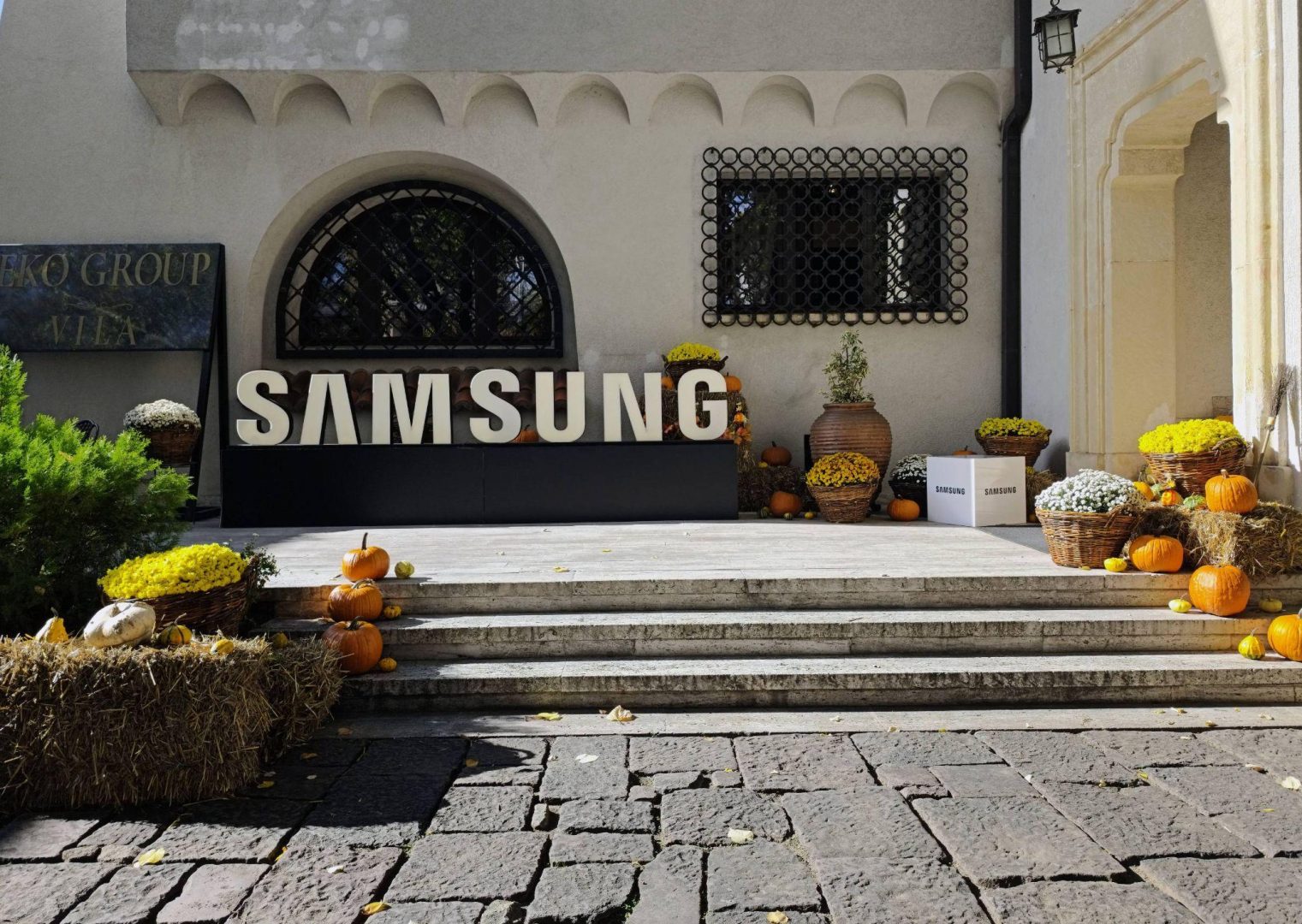 Evenimente corporate și workshop-uri de leadership la EkoGroup Vila București 10 Evenimente corporate și workshop-uri de leadership la EkoGroup Vila București