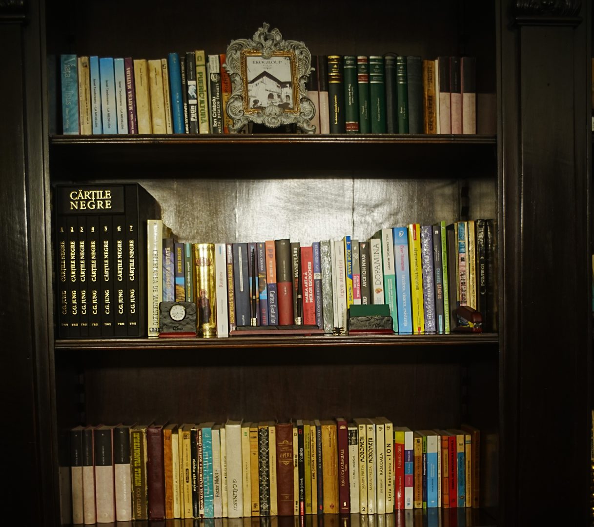 Art. History. Experience. – Descoperă universul pictorilor români celebri în Casa Tătărăscu